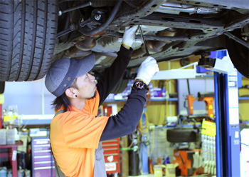 service_pic1