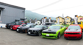 CARBOX